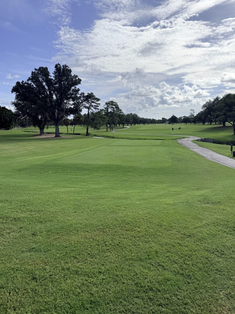 Sara Bay Country Club - Hole 1